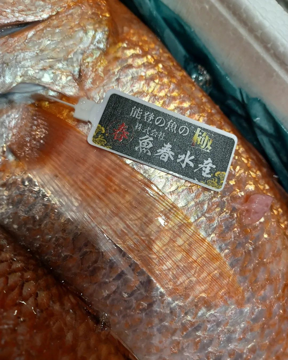 画像372