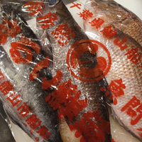 画像442