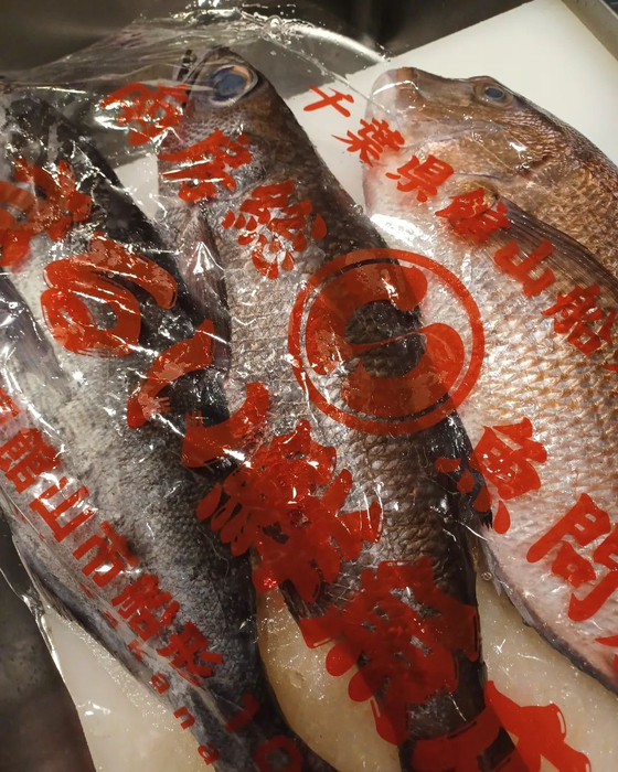 画像442