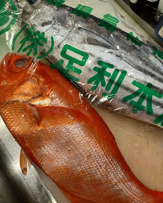 画像450