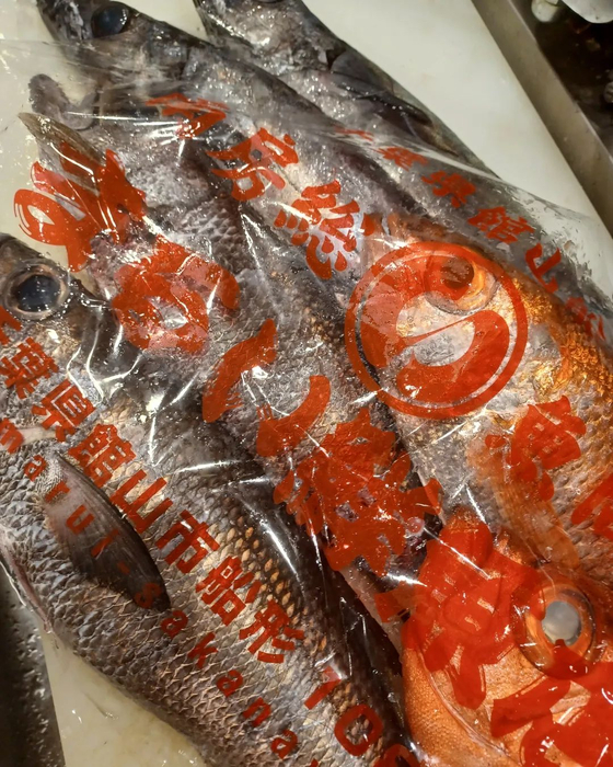 画像482