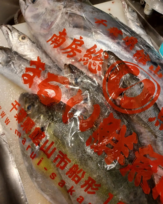 画像483