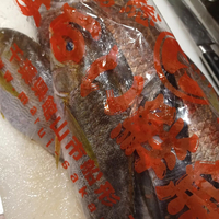 画像490