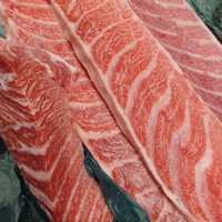 画像503