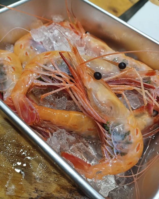 画像527
