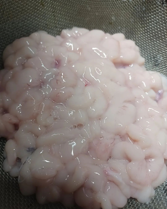 画像528