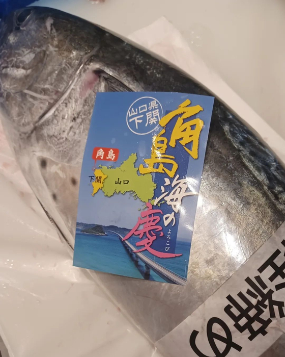 画像530