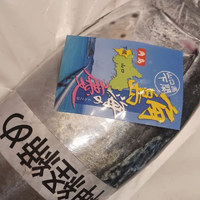 画像535