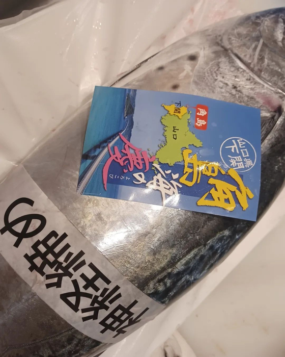 画像535