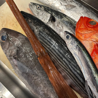 画像599