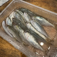 画像626