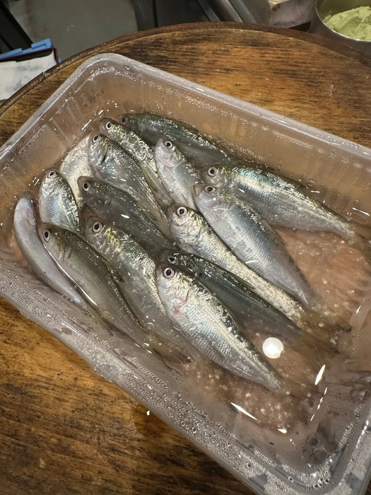 画像626