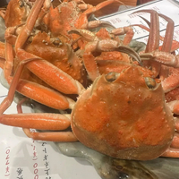 画像742