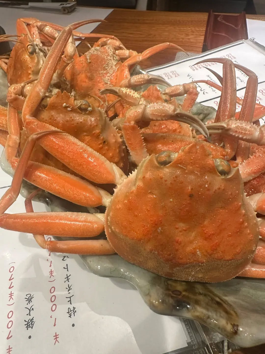 画像742