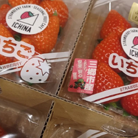 画像804