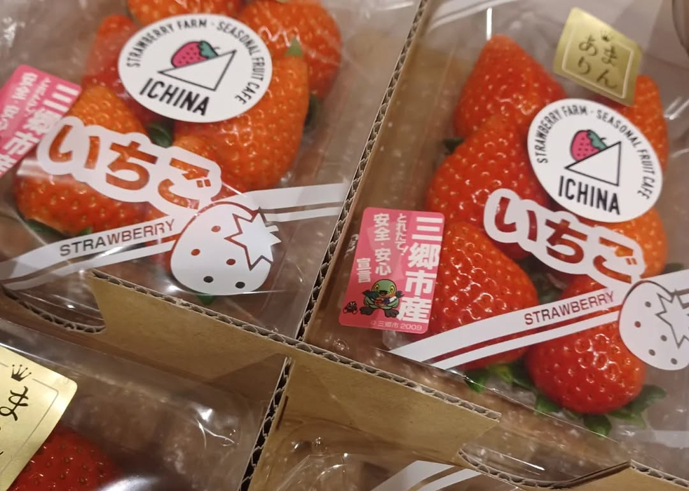 画像804