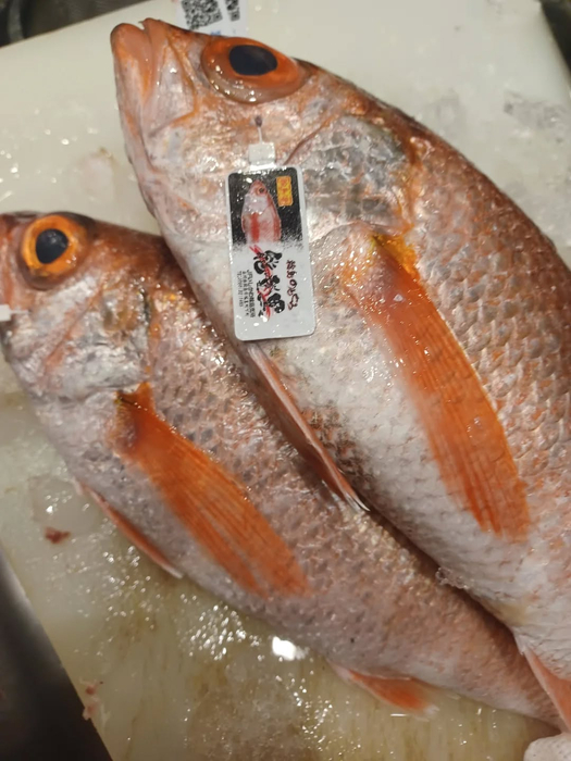 画像863