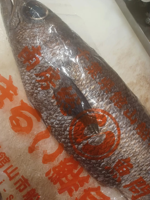 画像866