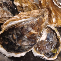 画像871