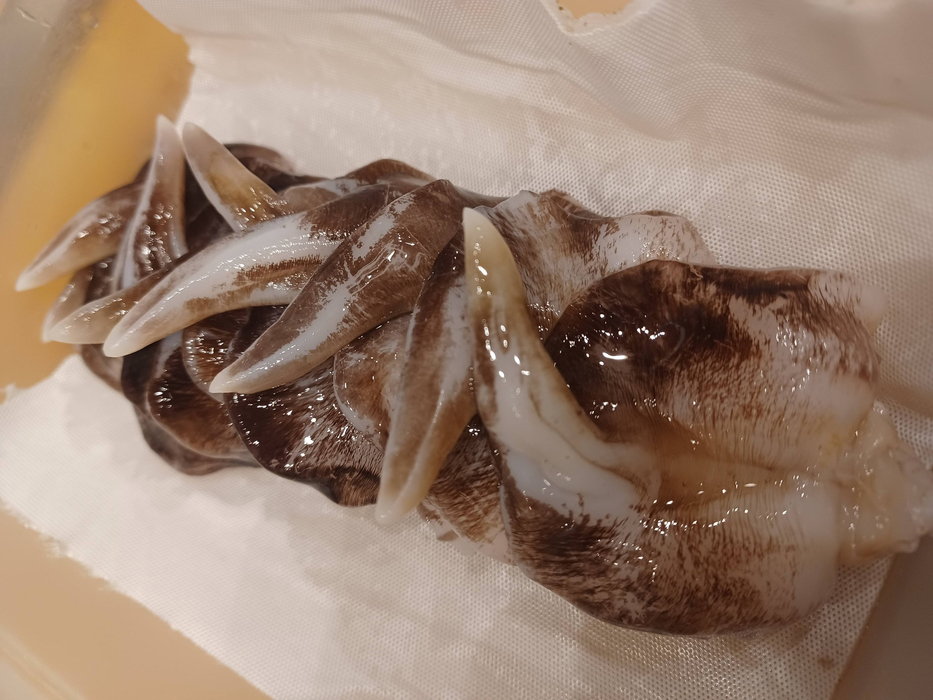画像884