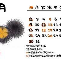 画像886