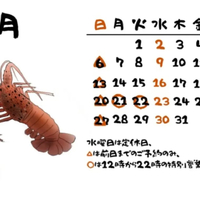 画像890